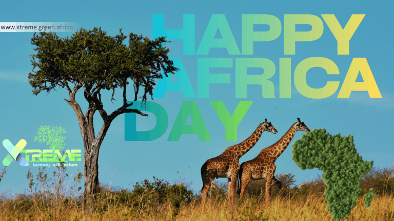 CELEBRATING AFRICA